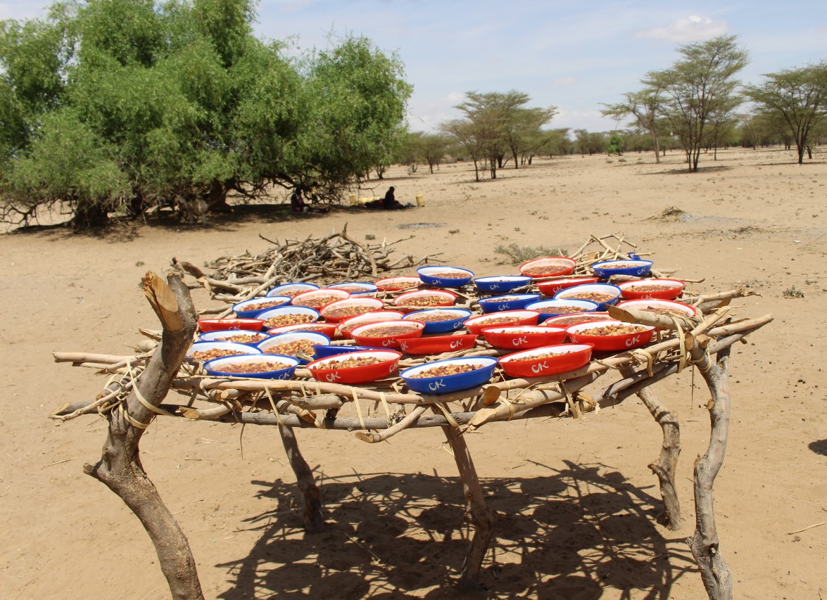 Food ready to be served, Lopwarin School, Turkana, Kenya