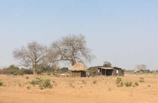 Dry land