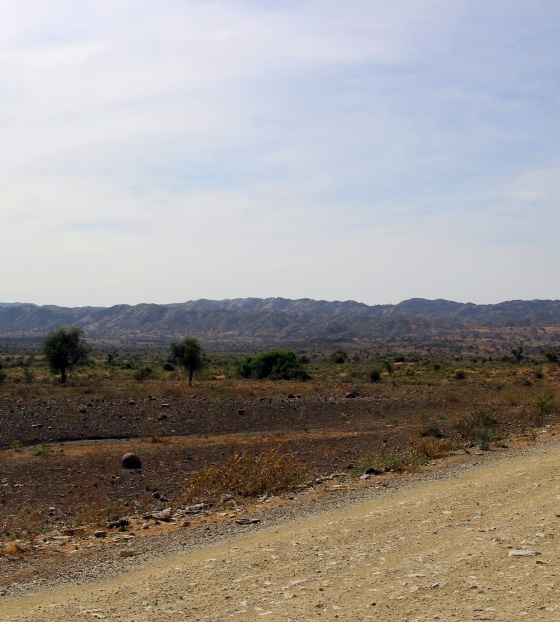 Ethiopia landscape