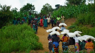 Volunteers walking