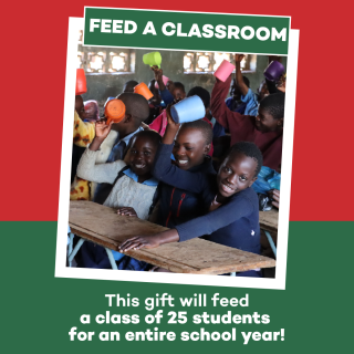 Feed a class