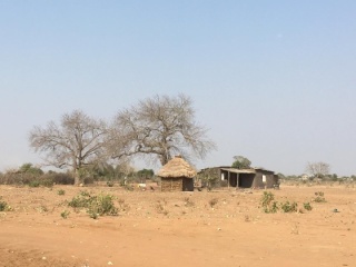 Mozambique