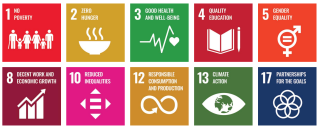 SDGs